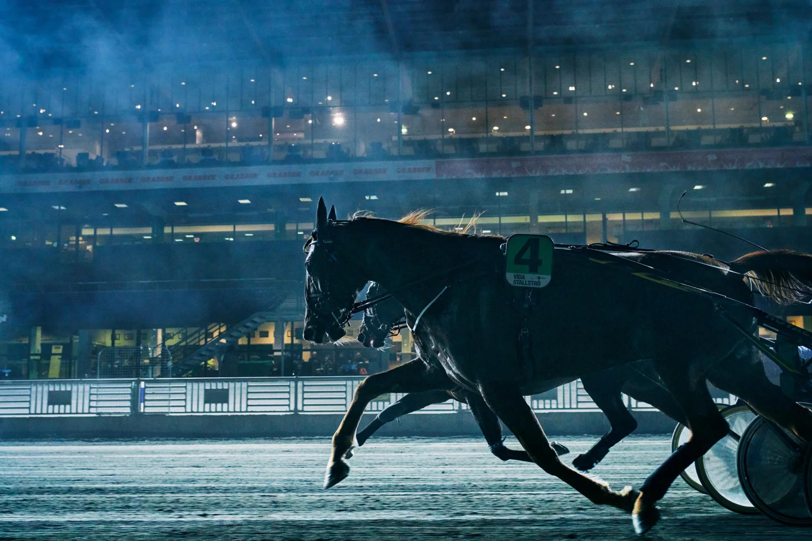 ATG Horse Racing 4 by Daniel BLOM
