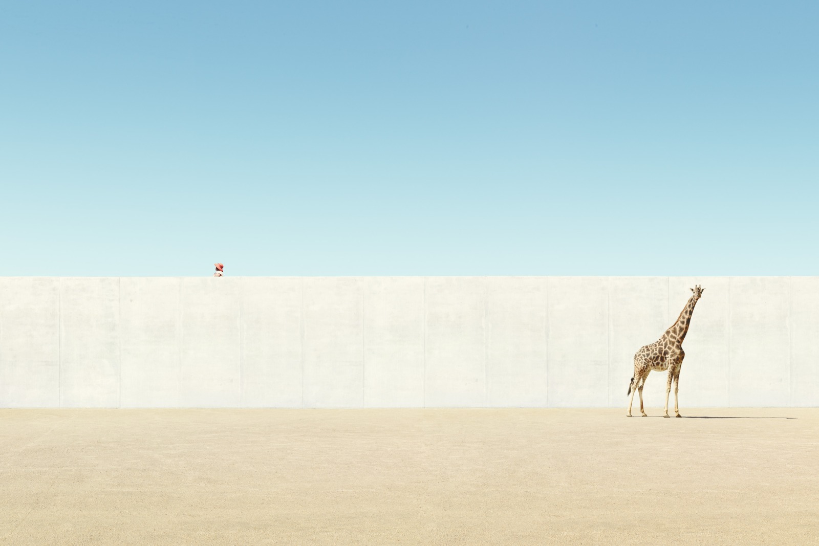 On Pleasure Grounds 8 by Clemens ASCHER