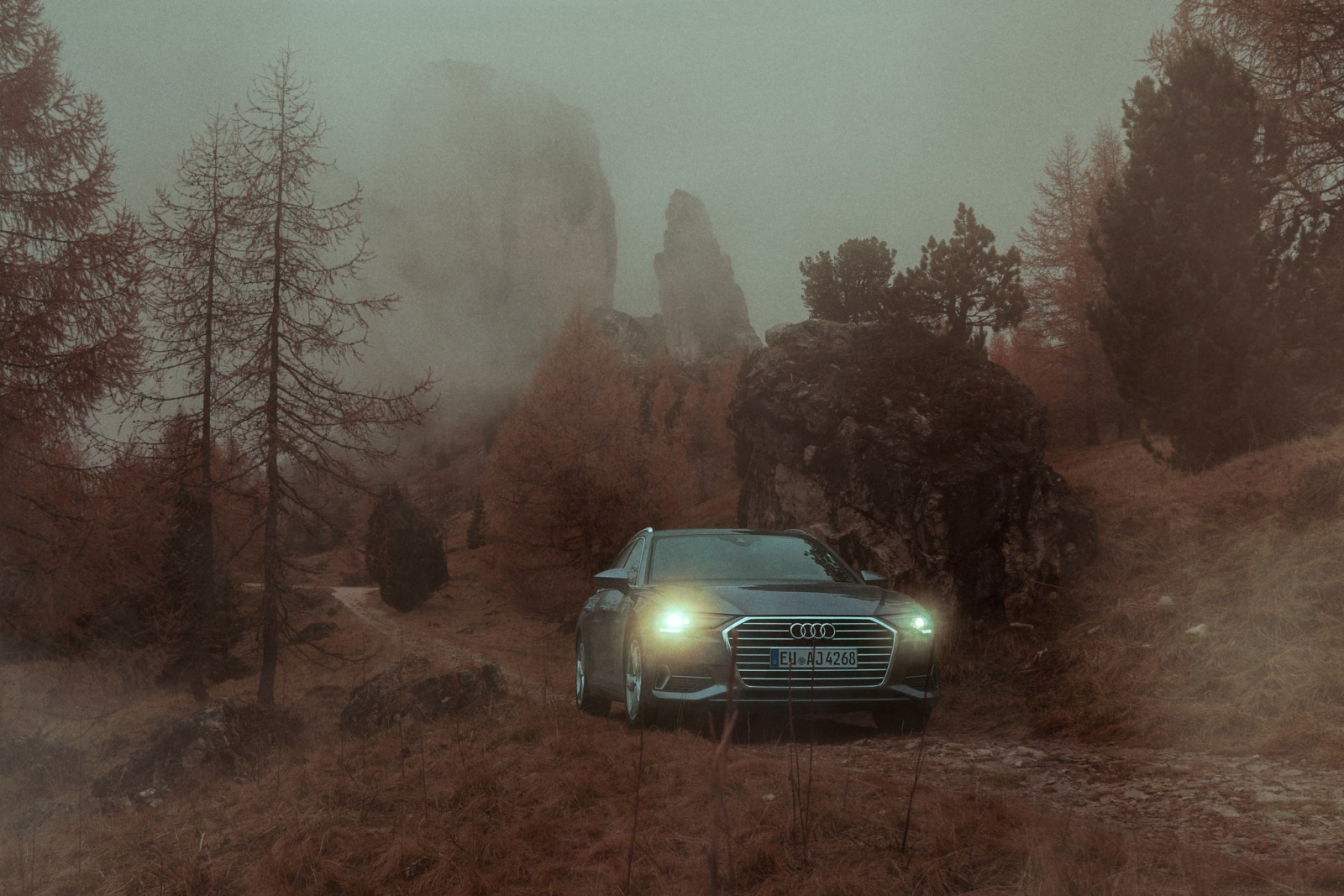 Audi A6 1 by Will DANIEL