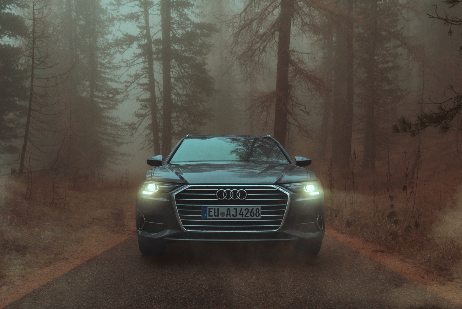 Audi A6 5 by Will DANIEL