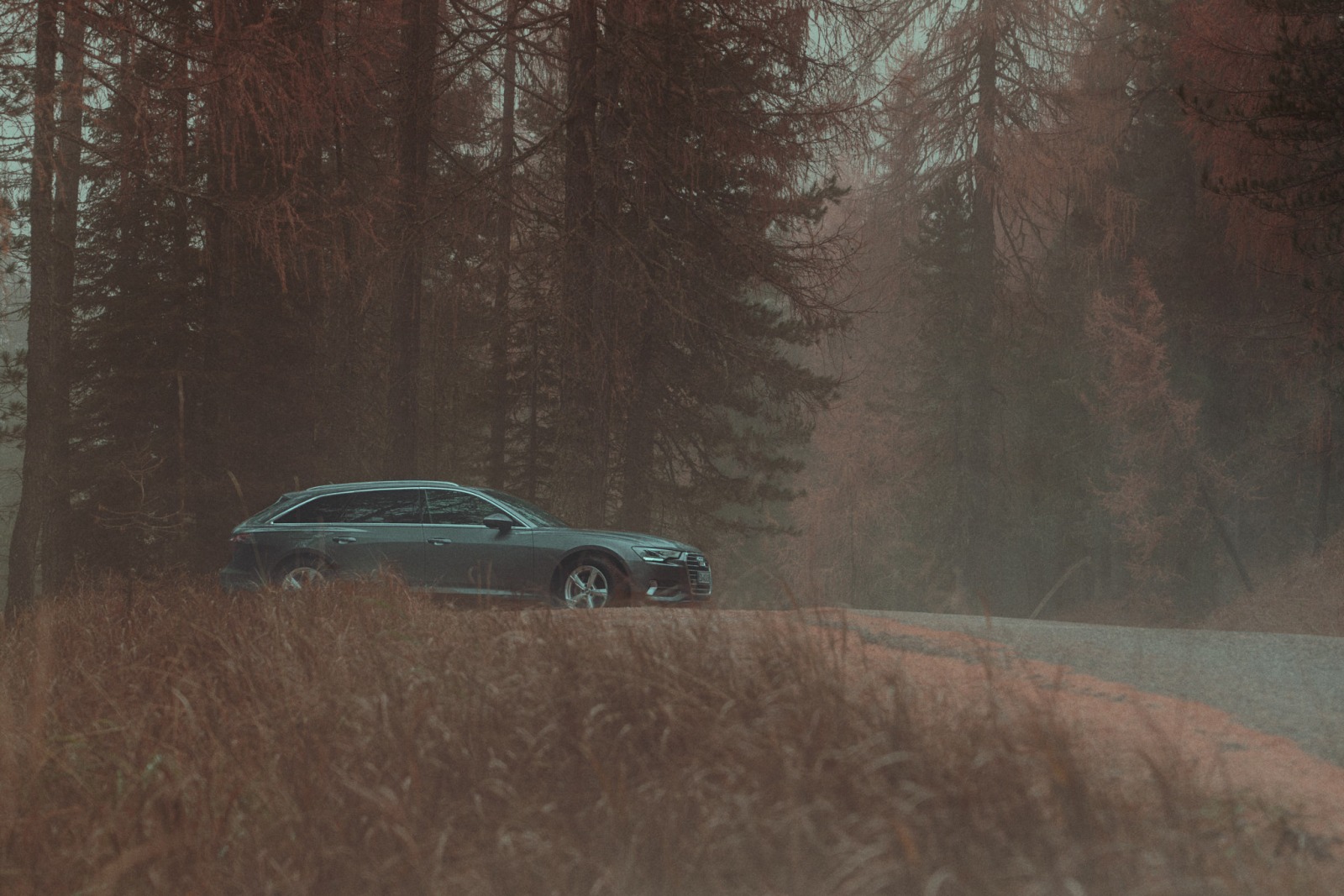 Audi A6 8 by Will DANIEL