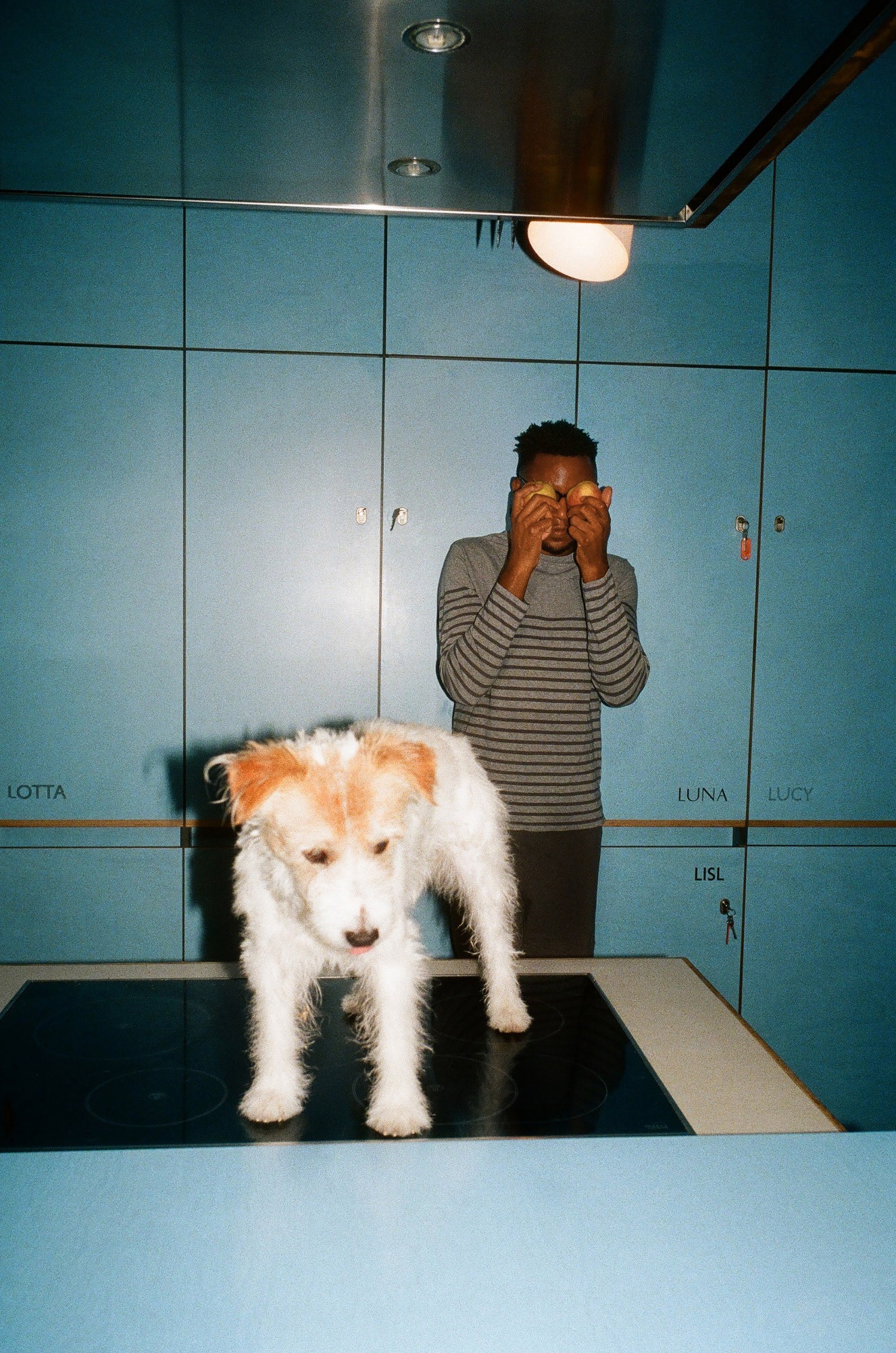 Lindenberg Hotel Dogs and Residients 11 by Marc KRAUSE