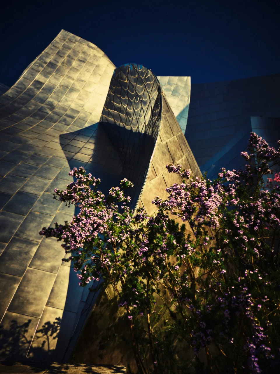 Los Angeles...of plants and steel 3 by Benjamin PICHELMANN