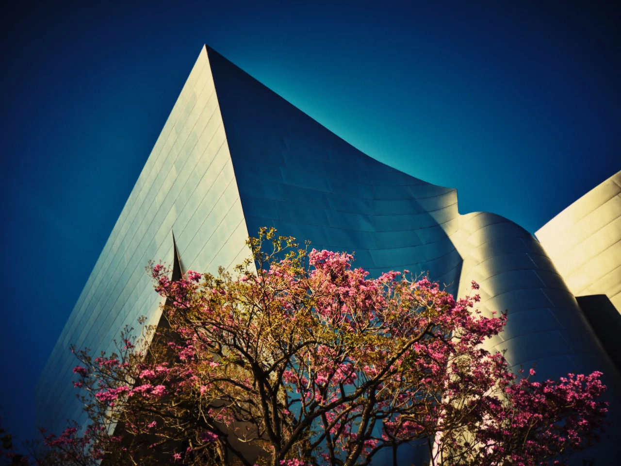Los Angeles...of plants and steel 4 by Benjamin PICHELMANN