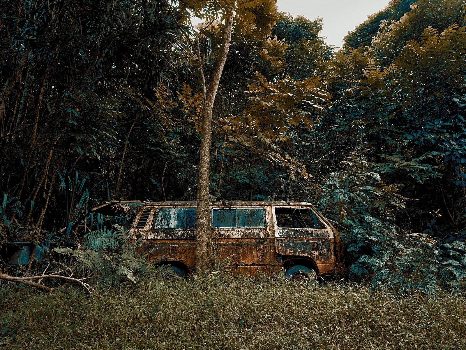Jungle Cars of Maui personal work 5 by Thomas STROGALSKI