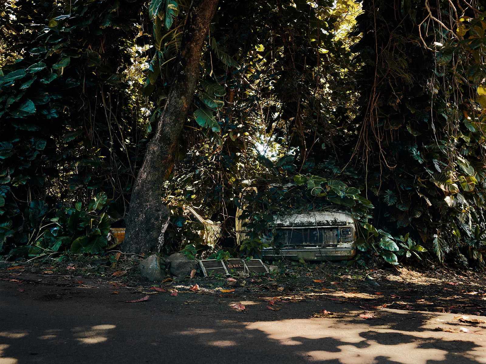 Jungle Cars of Maui personal work 9 by Thomas STROGALSKI