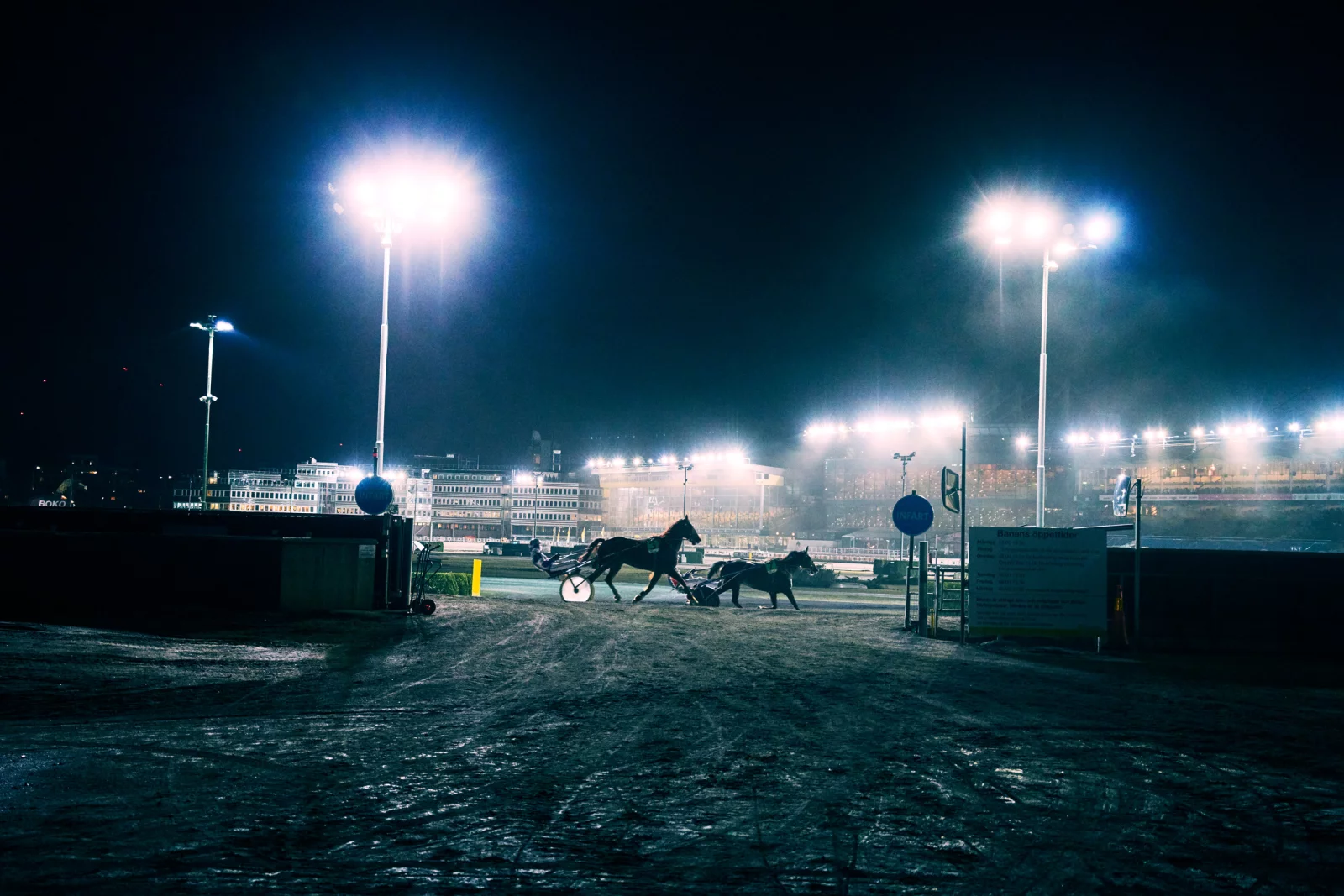 ATG Horse Racing 6 by Daniel BLOM