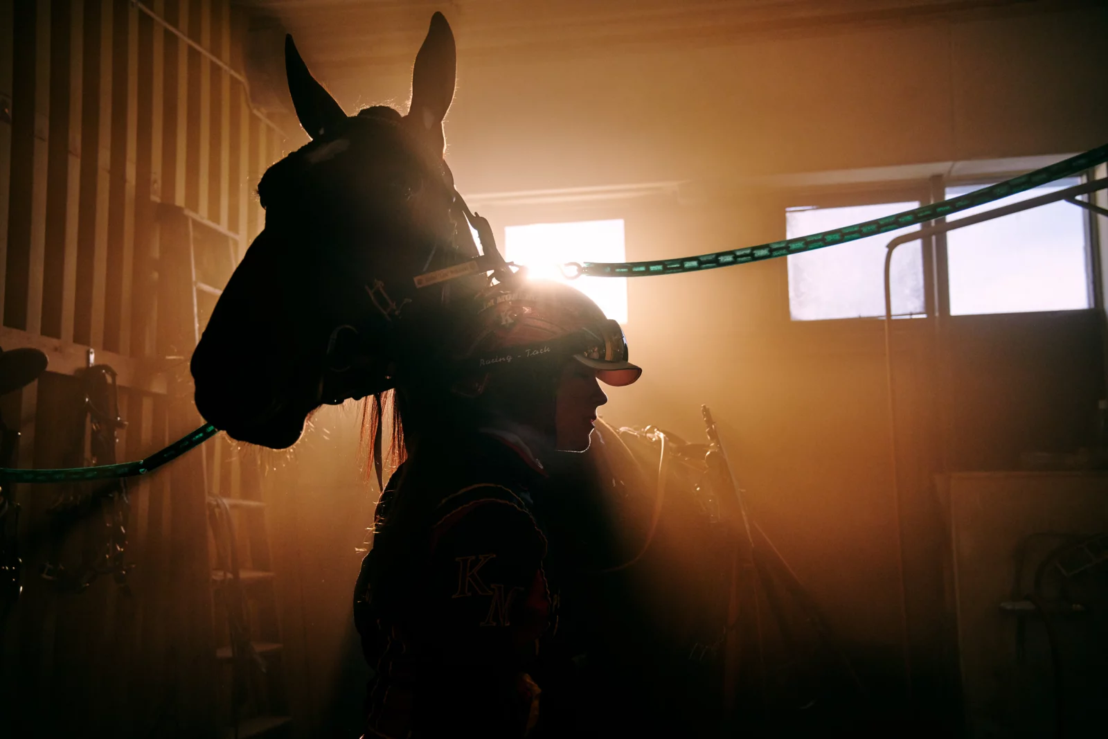 ATG Horse Racing 7 by Daniel BLOM