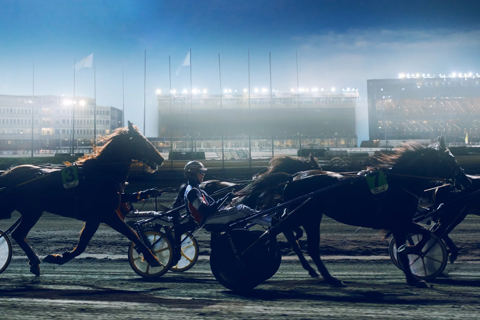 ATG Horse Racing 12 by Daniel BLOM