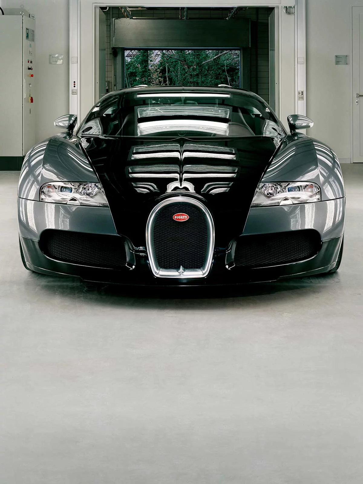 Bugatti Veyron 3 by Leon CHEW