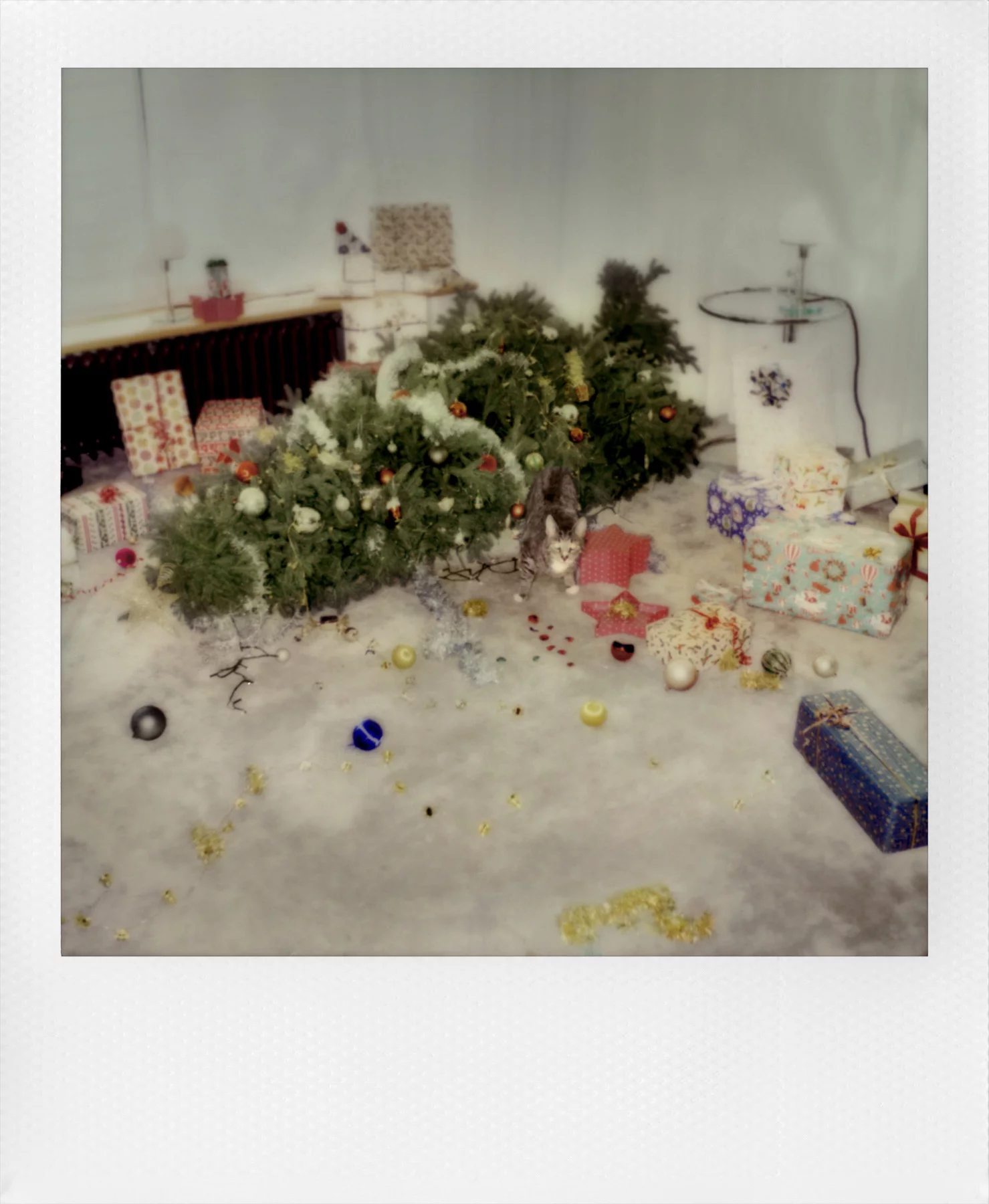 Koekkoek x Polaroid - Holiday Campaign 23 4 by Carina DEWHURST