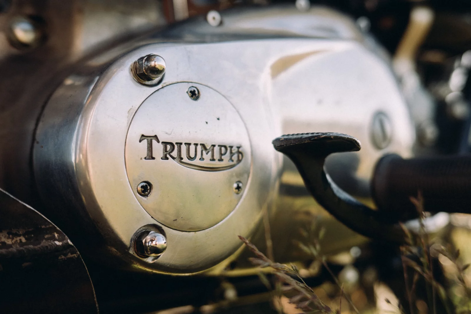 Triumph TR6 67 Desert Sled 17 by Will DANIEL
